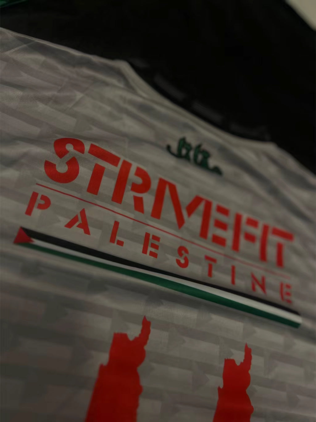 StriveFit Palestine Performance T-Shirt