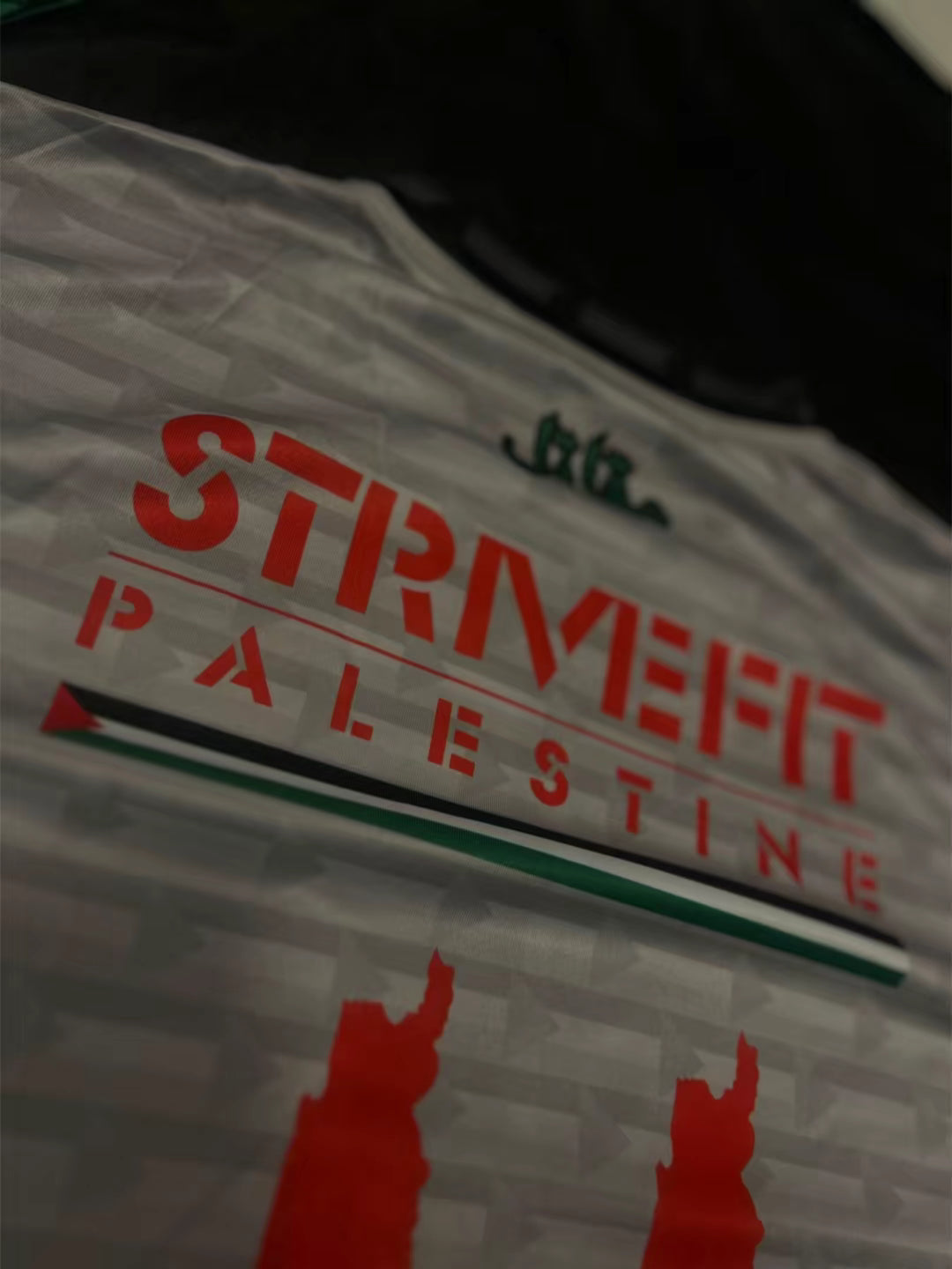 StriveFit Palestine Performance T-Shirt